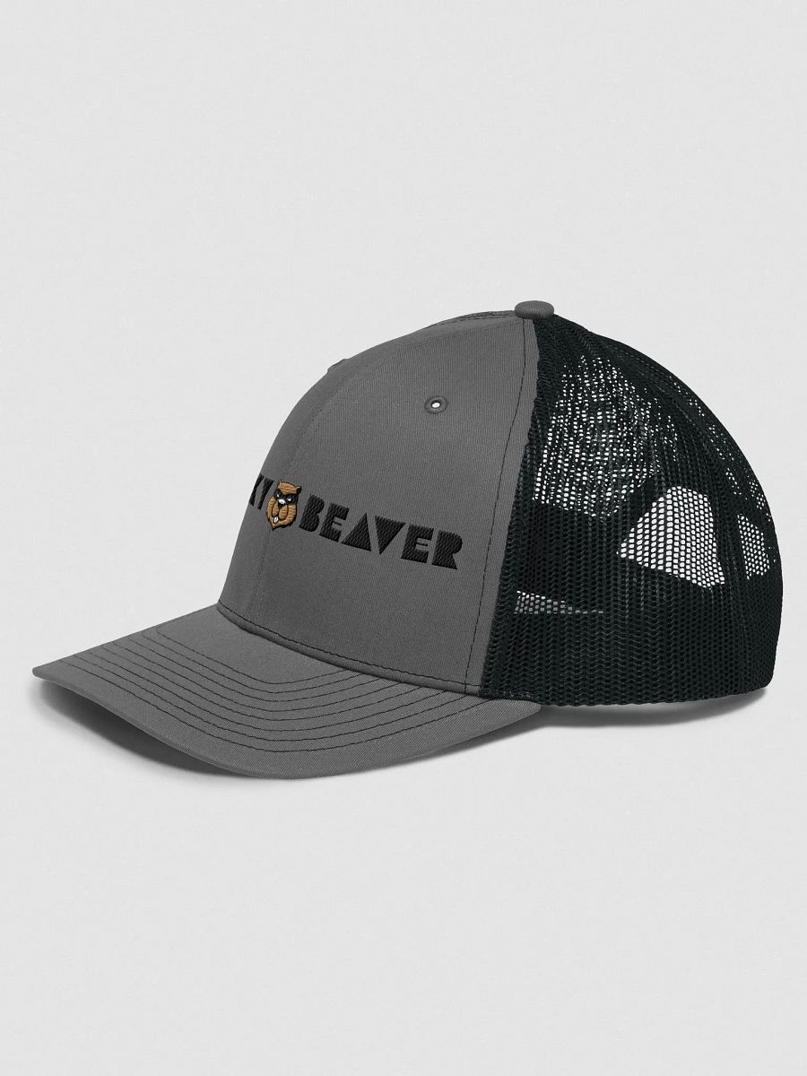 Sneaky Trucker embroidered cap product image (9)