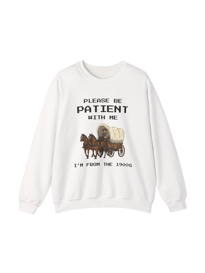 PLEASE BE PATIENT WITH ME SWEATER product image (1)