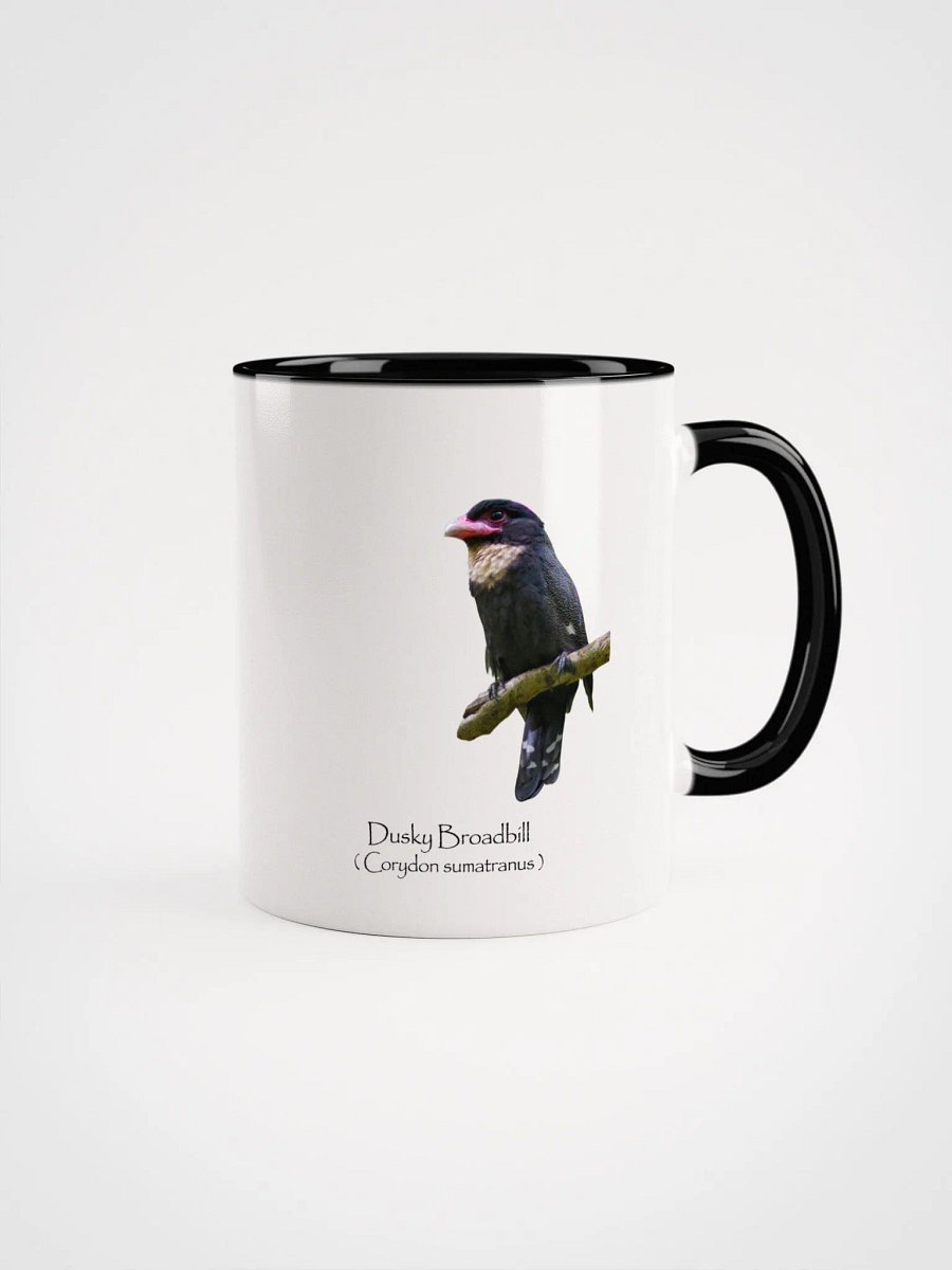 Dusky Broadbill product image (6)