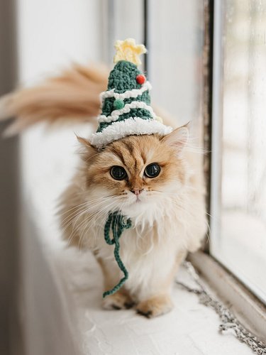 Penny posing under the Christmas tree like the gift she knows she is