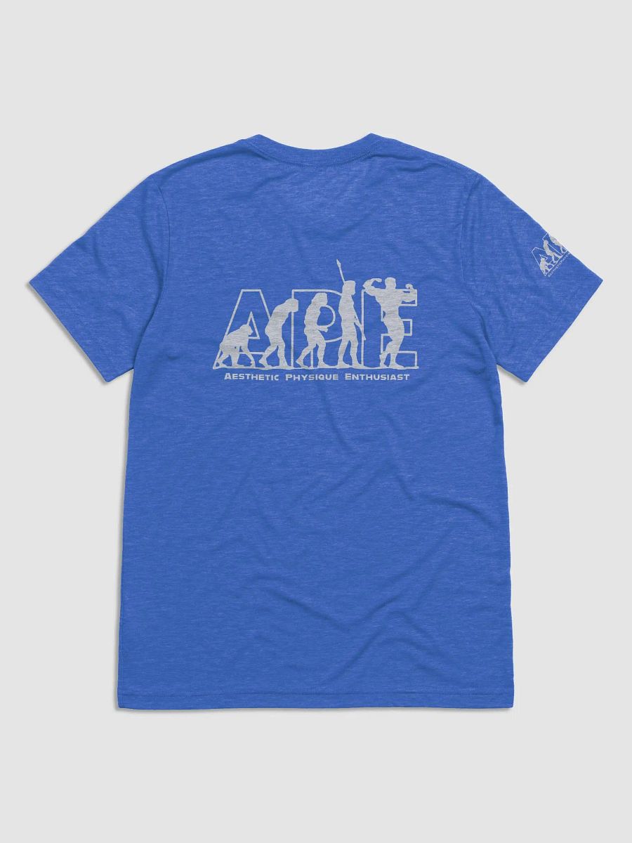 APEvolution: Iconic Back Logo Tee [Men's] product image (2)