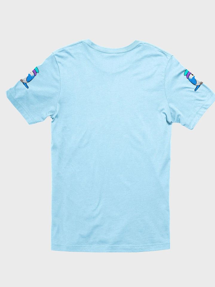 Falconeer T-Shirt product image (13)