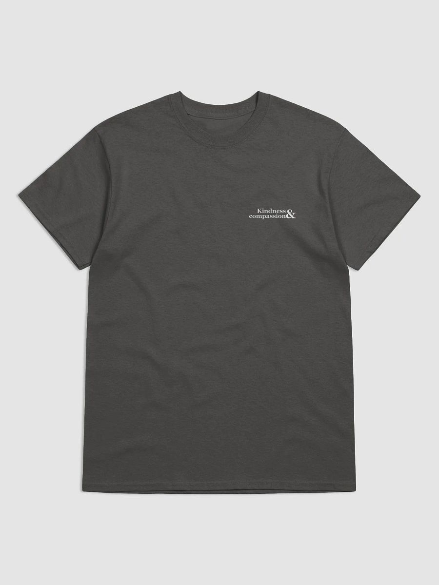 Kindness and compassion t-shirt product image (14)
