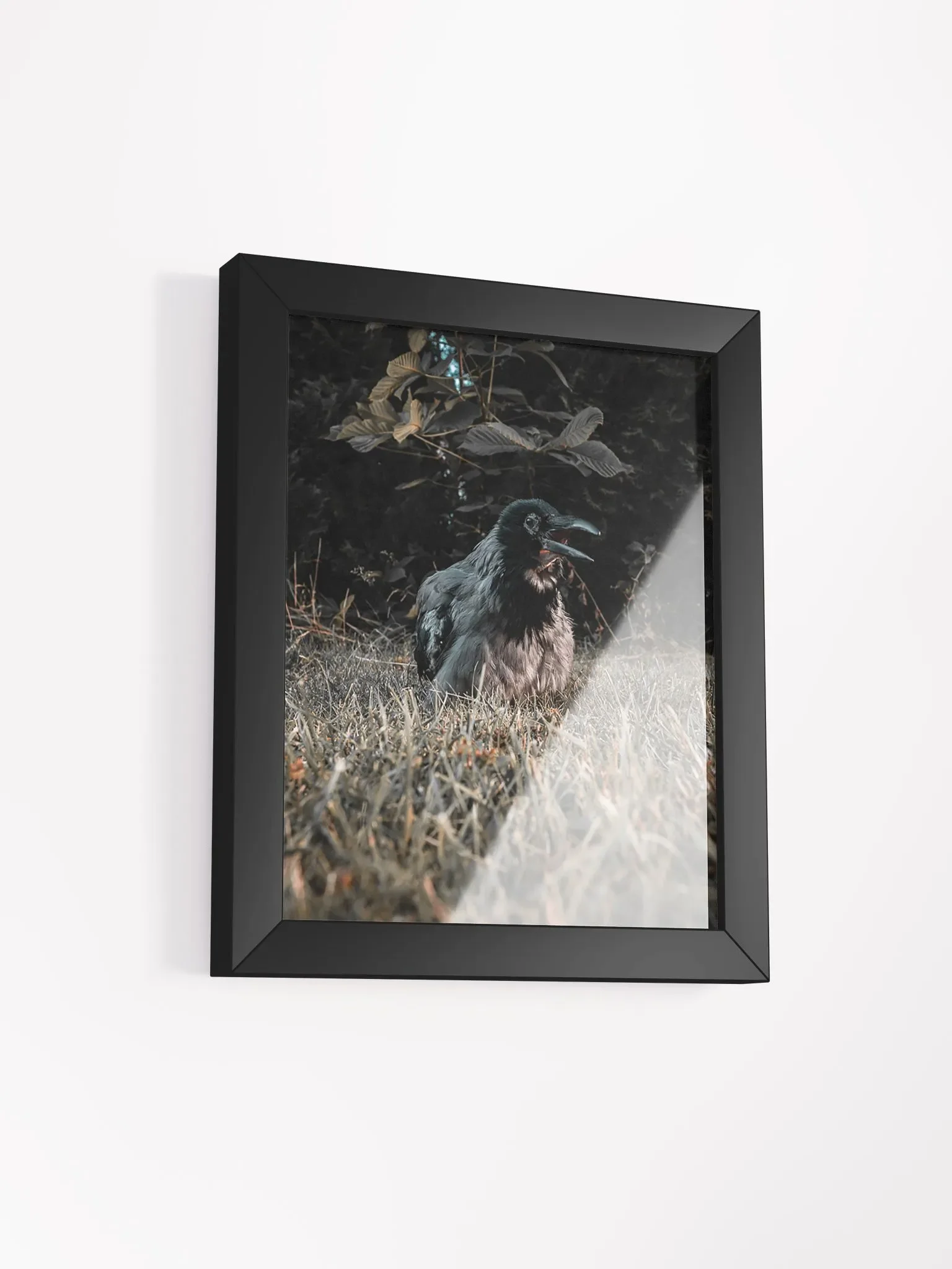 Hafez's Last Sunbeam product image (2)