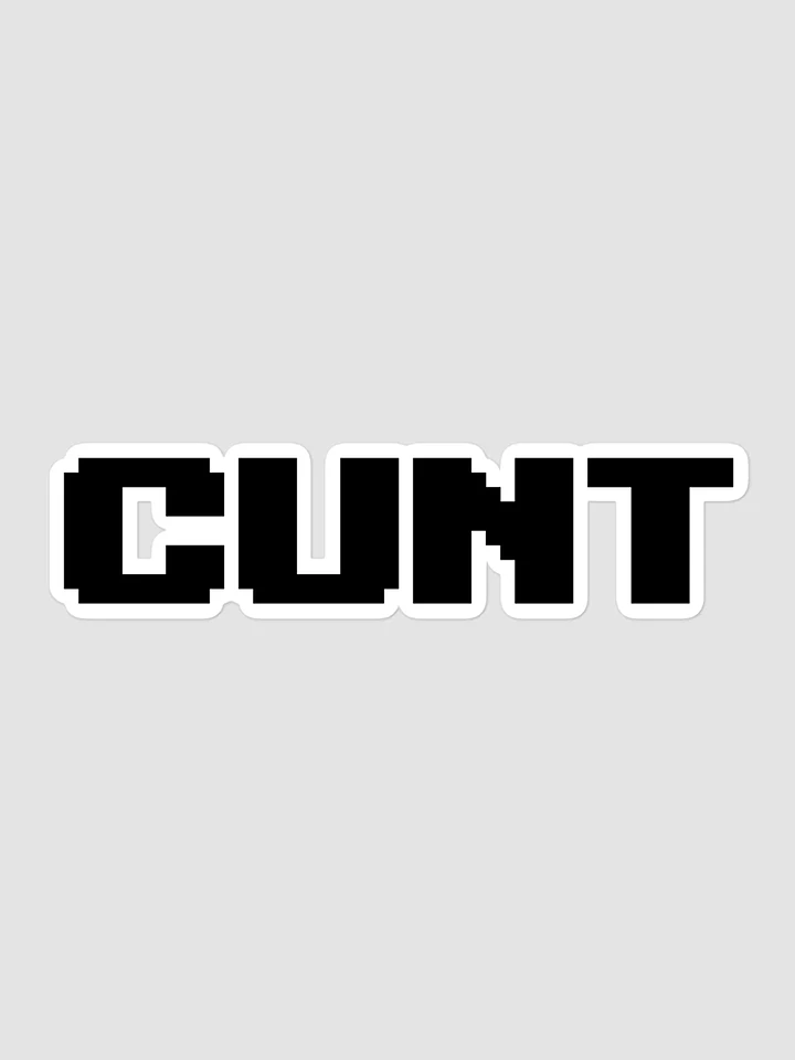 CUNT Stickers product image (1)
