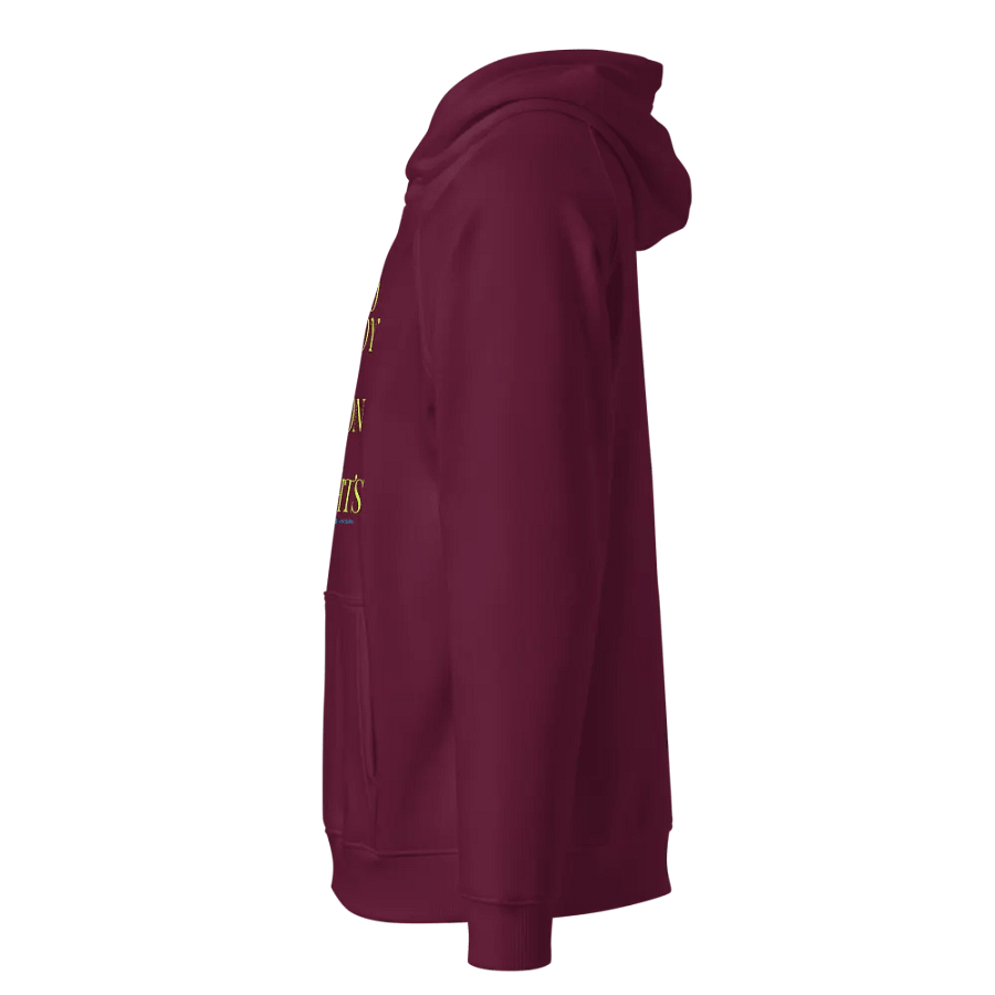 The Observer Hoodie - Unisex + Organic Cotton product image (4)