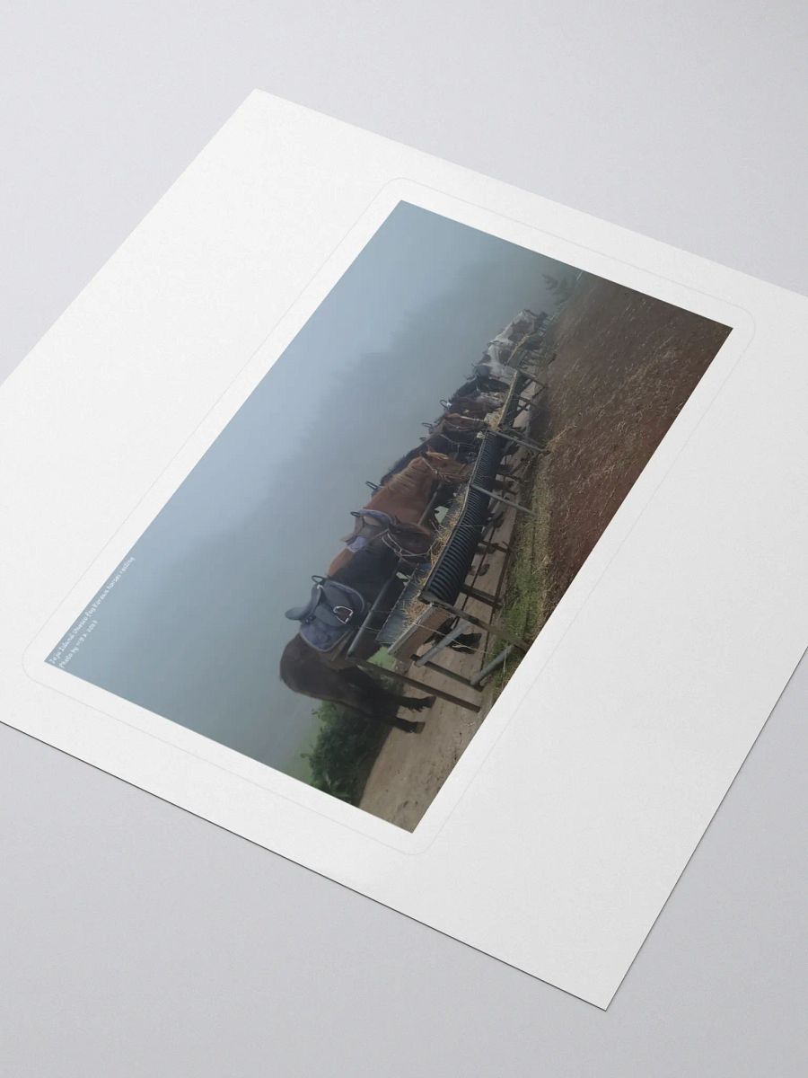 Jeju Island Unesco fog Korean horses resting product image (3)