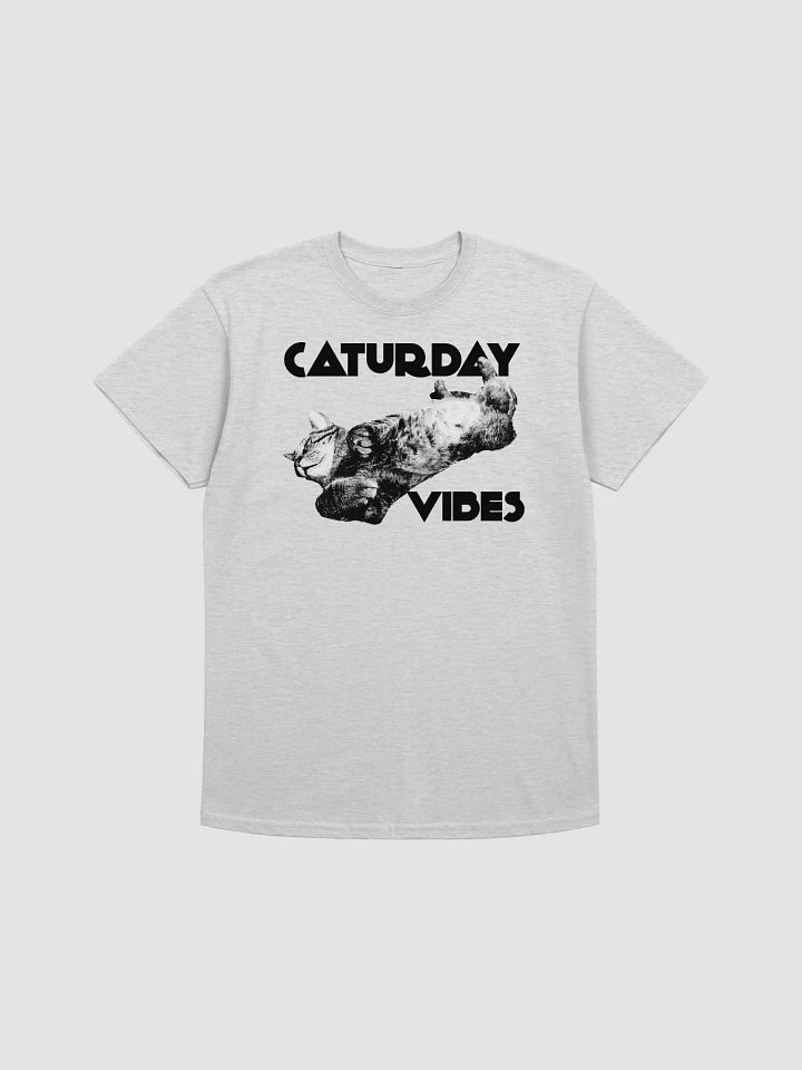 Caturday Vibes Tee (Extended Sizing) product image (1)