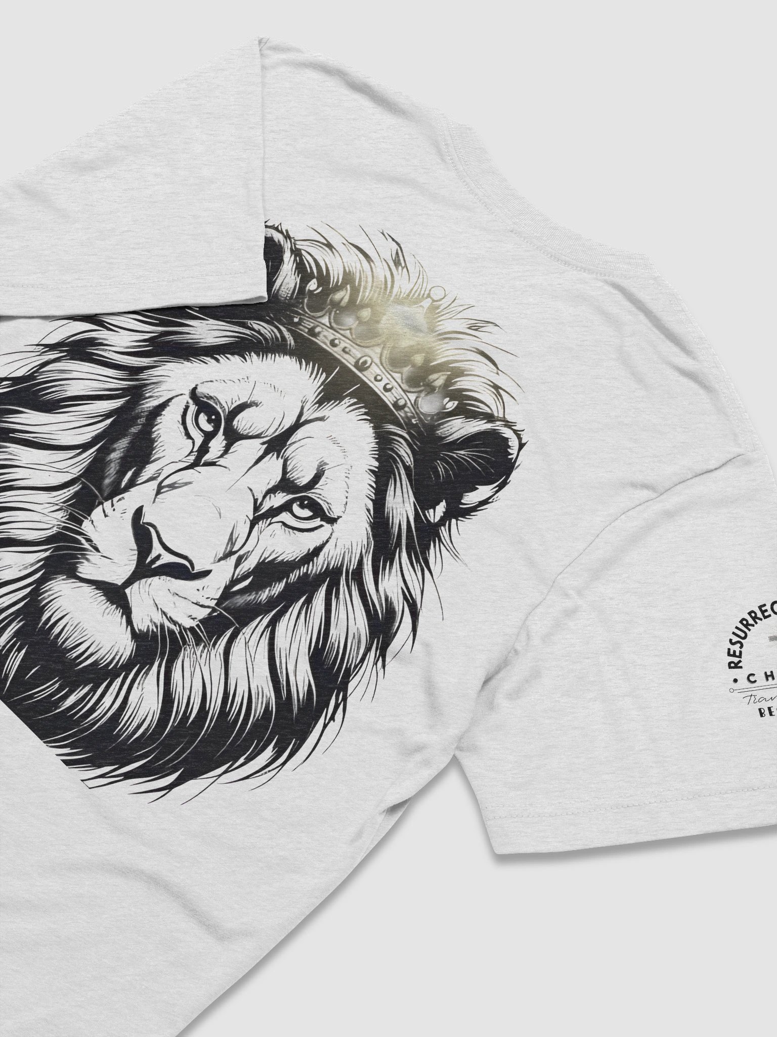 Lion of Judah Unisex Tee product image (54)