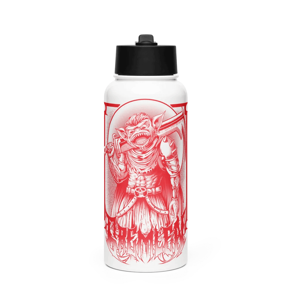 Stainless Steel Water Bottle with a Straw Lid product image (1)