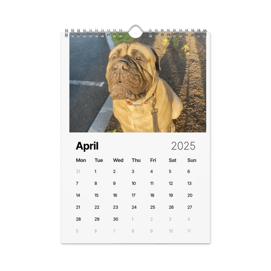 Meech 2025 Wall Calendar product image (2)