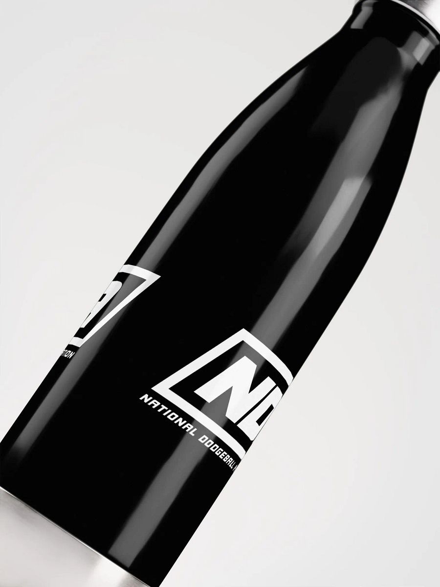 National Dodgeball Association Stainless Steel Water Bottle product image (5)