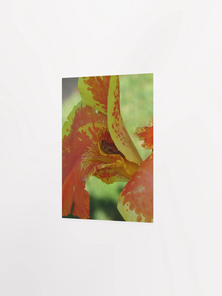 The Frog n' The Flower product image (16)