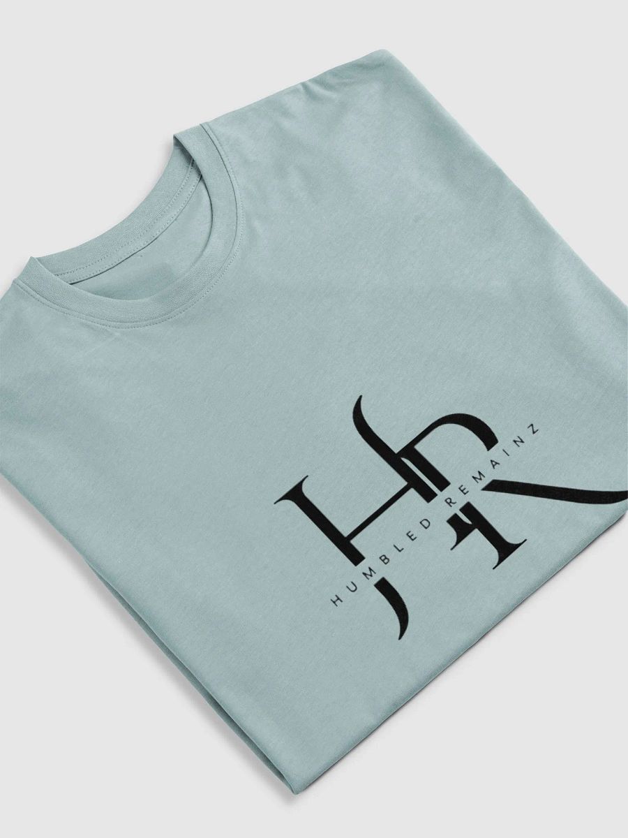 HR Logo Men's Premium Tee product image (26)