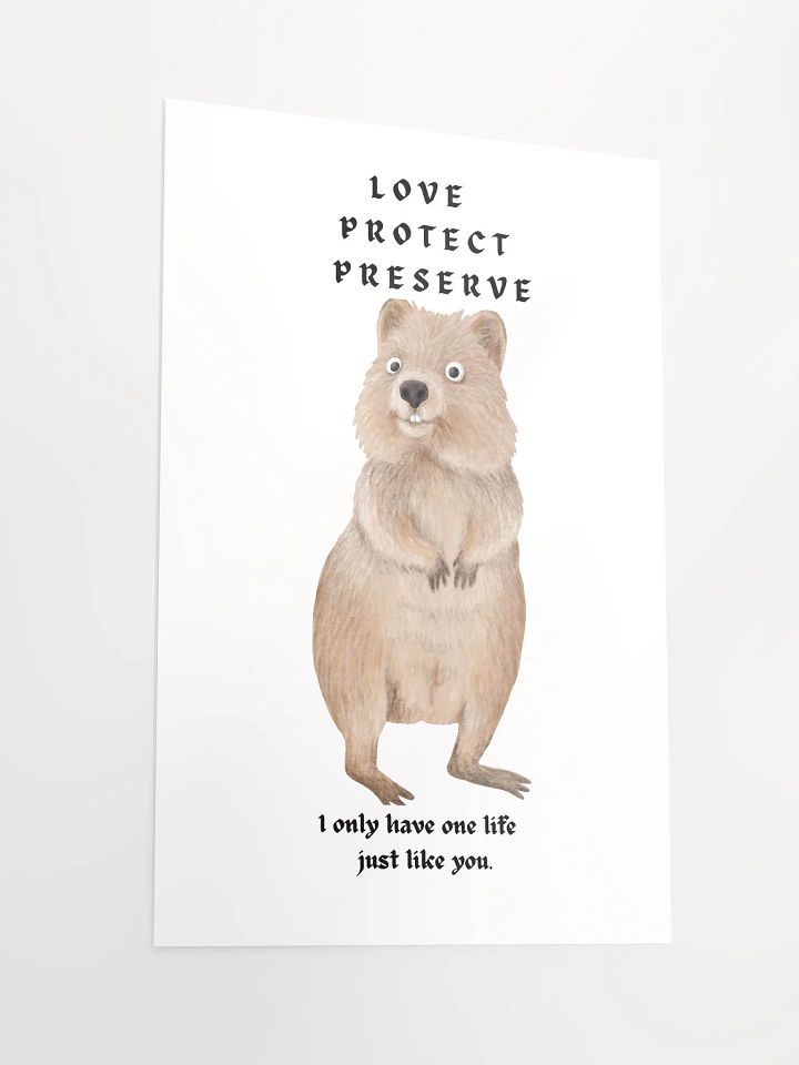 Poster AUSTRALIAN QUOKKA product image (4)