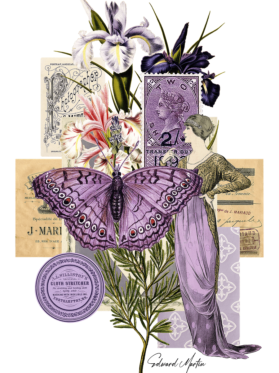 Collage in Lavender by Edward Martin product image (1)
