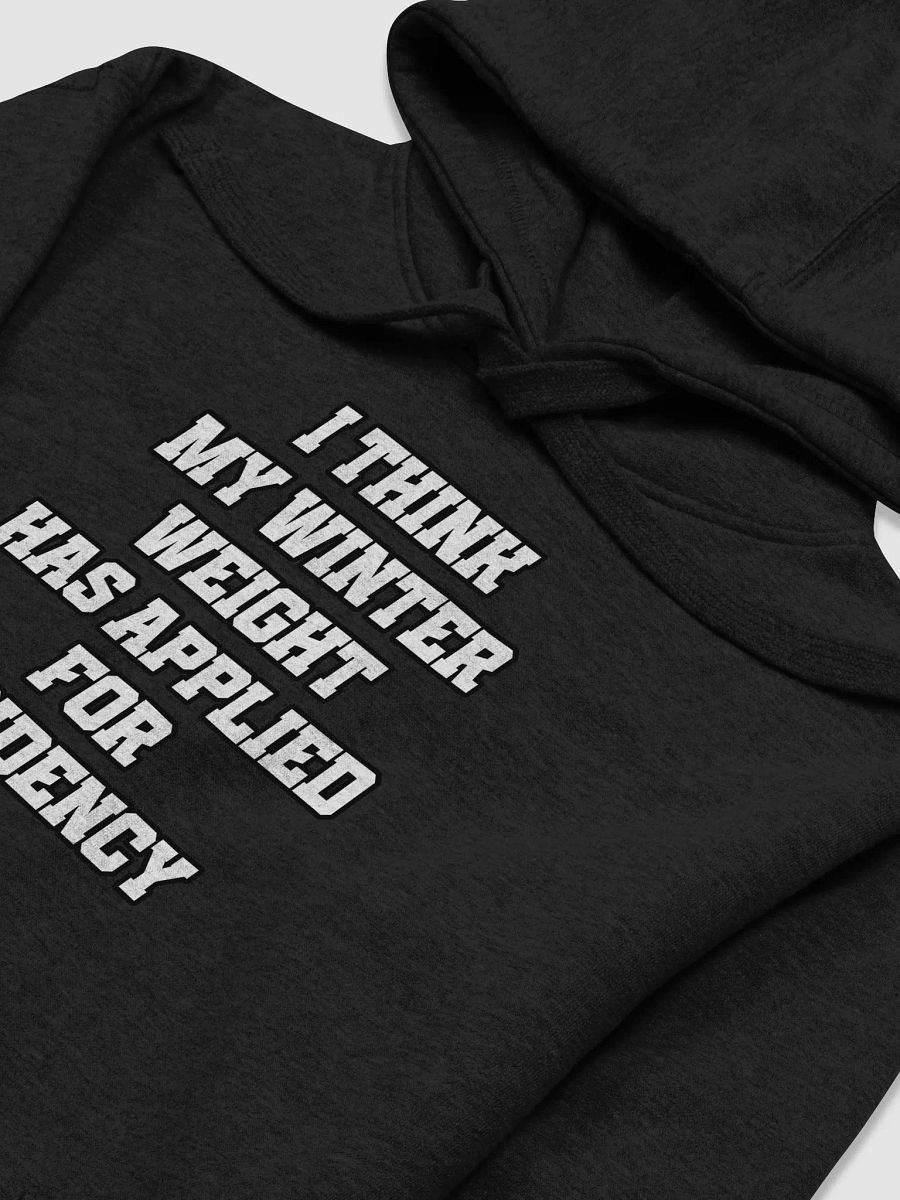 I Think My Winter Weight Has Applied For Residency Hoodie product image (14)