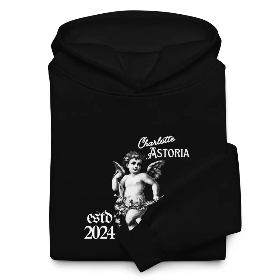 Charlotte Hoodie (LTD ED) product image (12)