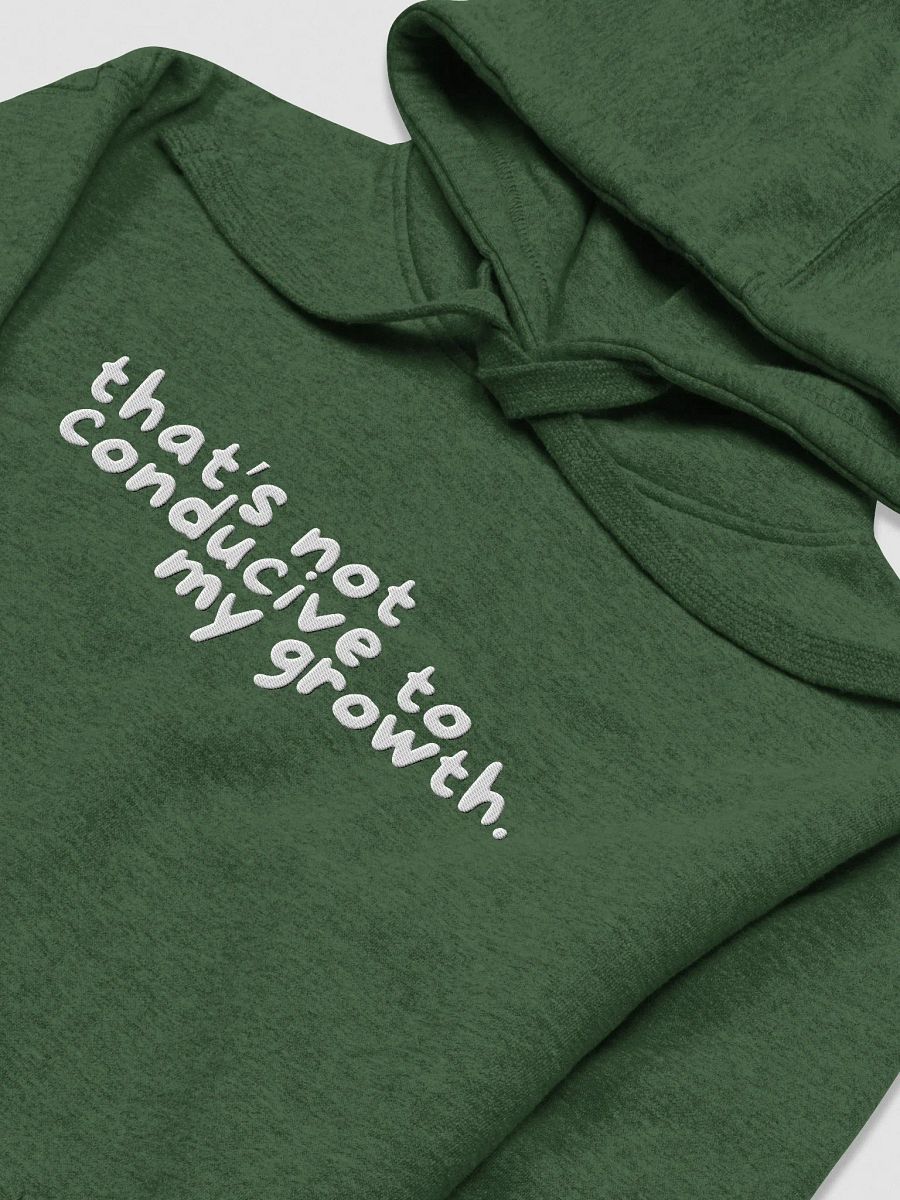 Conducive Hoodie (Embroidered) product image (3)