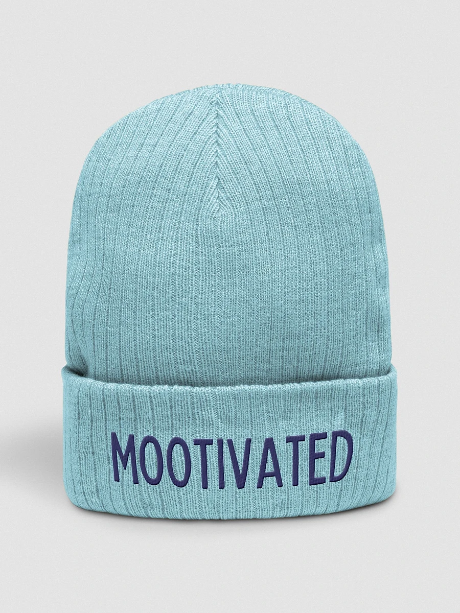 Mootivated Beanie product image (1)