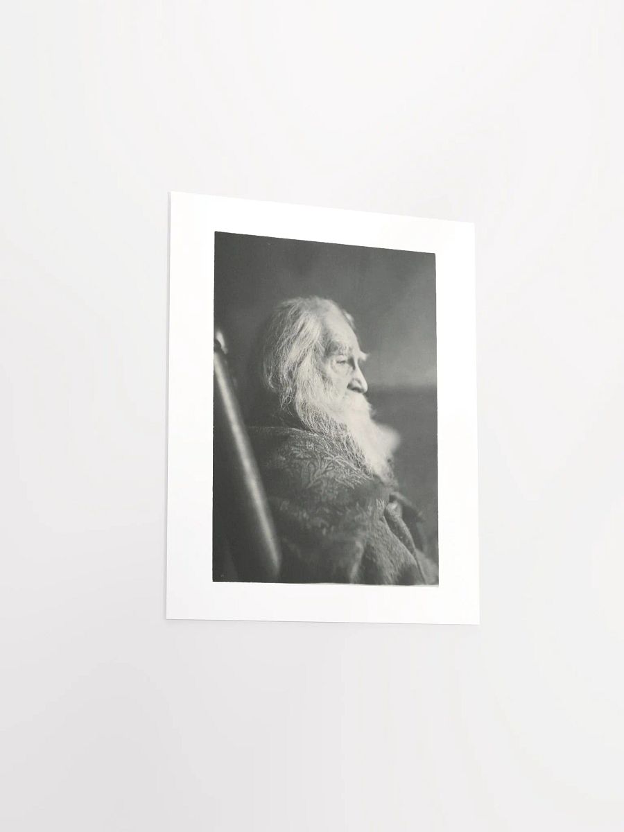 Walt Whitman in Camden, N.J. by Thomas Eakins - Print product image (3)