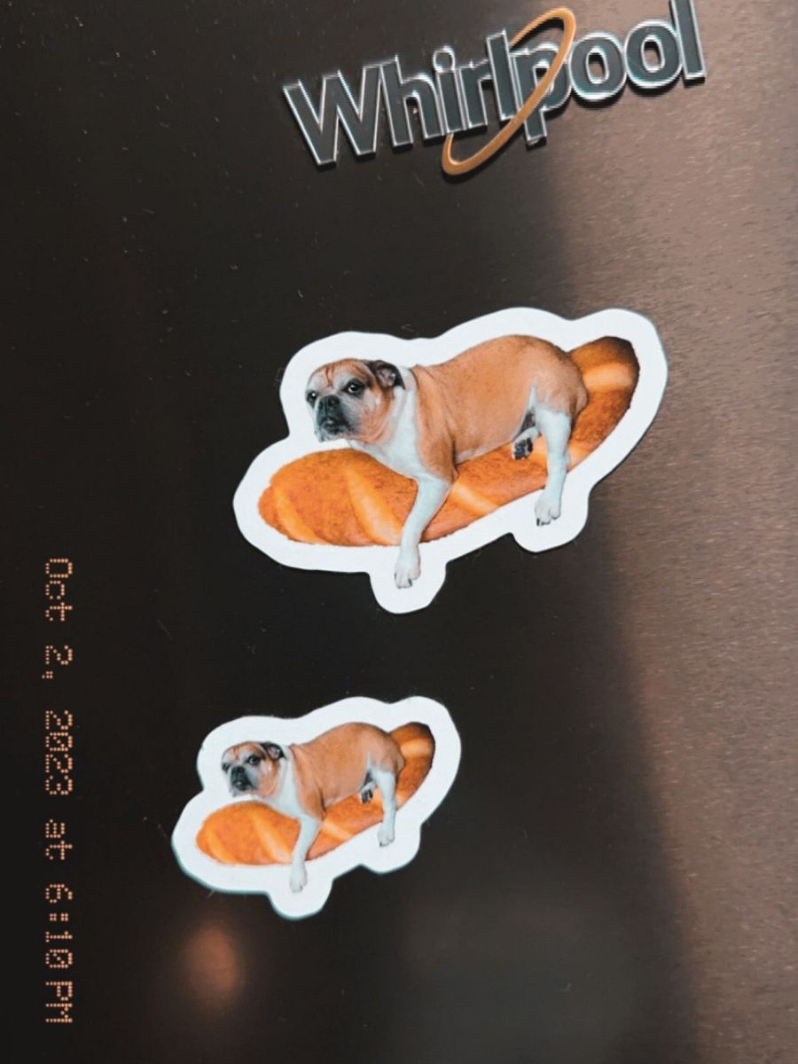 Layla Magnet (Set of 2) product image (1)