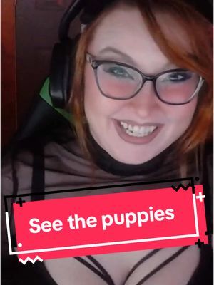 Cab says dumb stuff x373848 #fypシ #fyp #cringe #dumb #twitch #lol #puppies #leash #pet 
