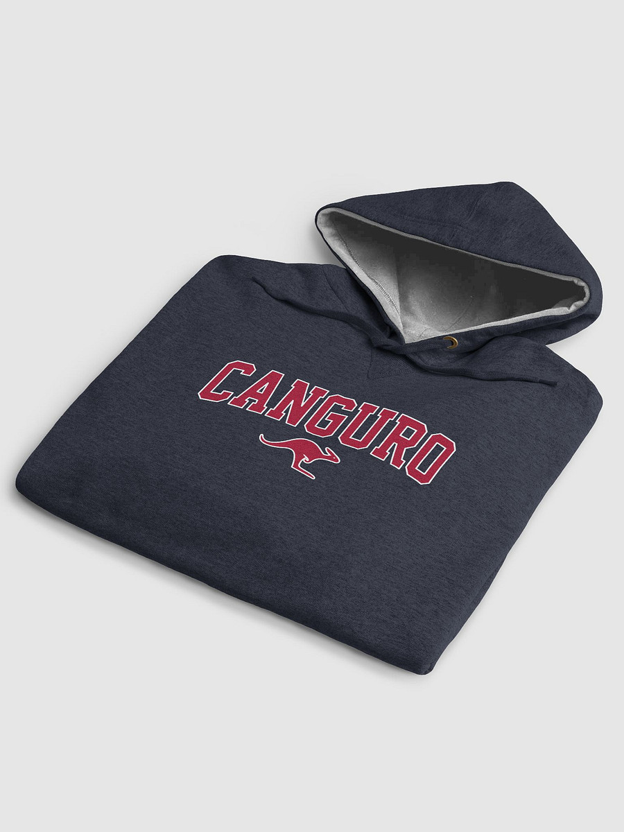 Stanford Champion College Hoodie - Small Red Cotton