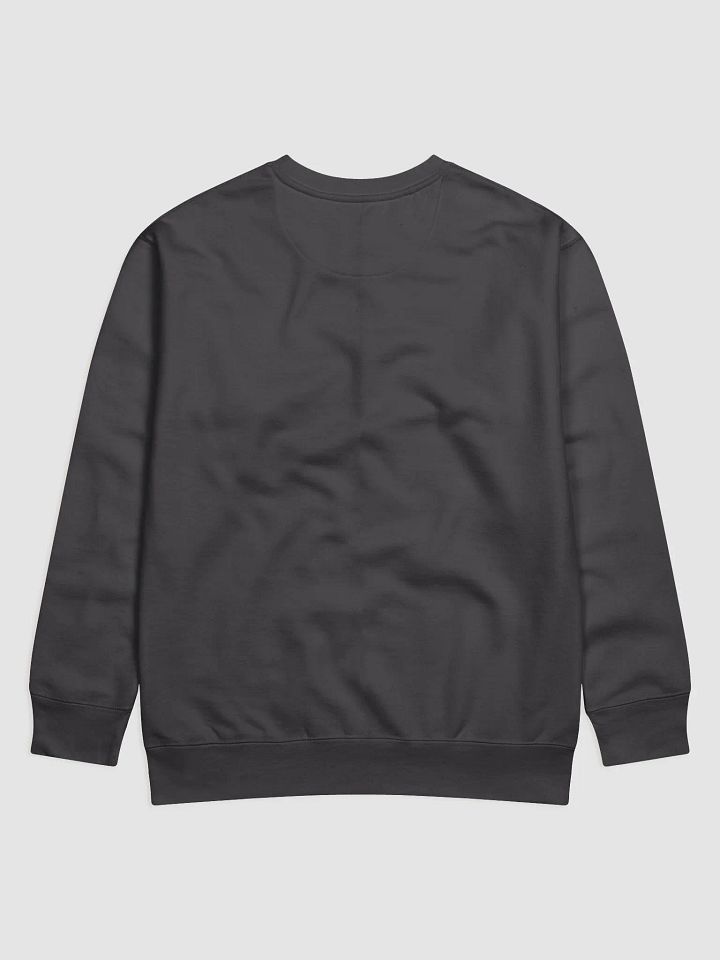 Plunge Graphic Cotton Sweatshirt product image (2)