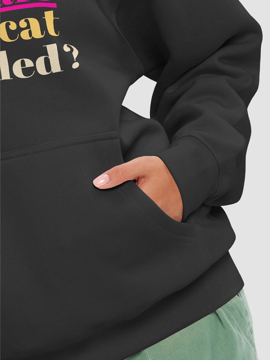 What Do You Call a Female Cat? Lane Seven Premium Pullover Hoodie product image (8)