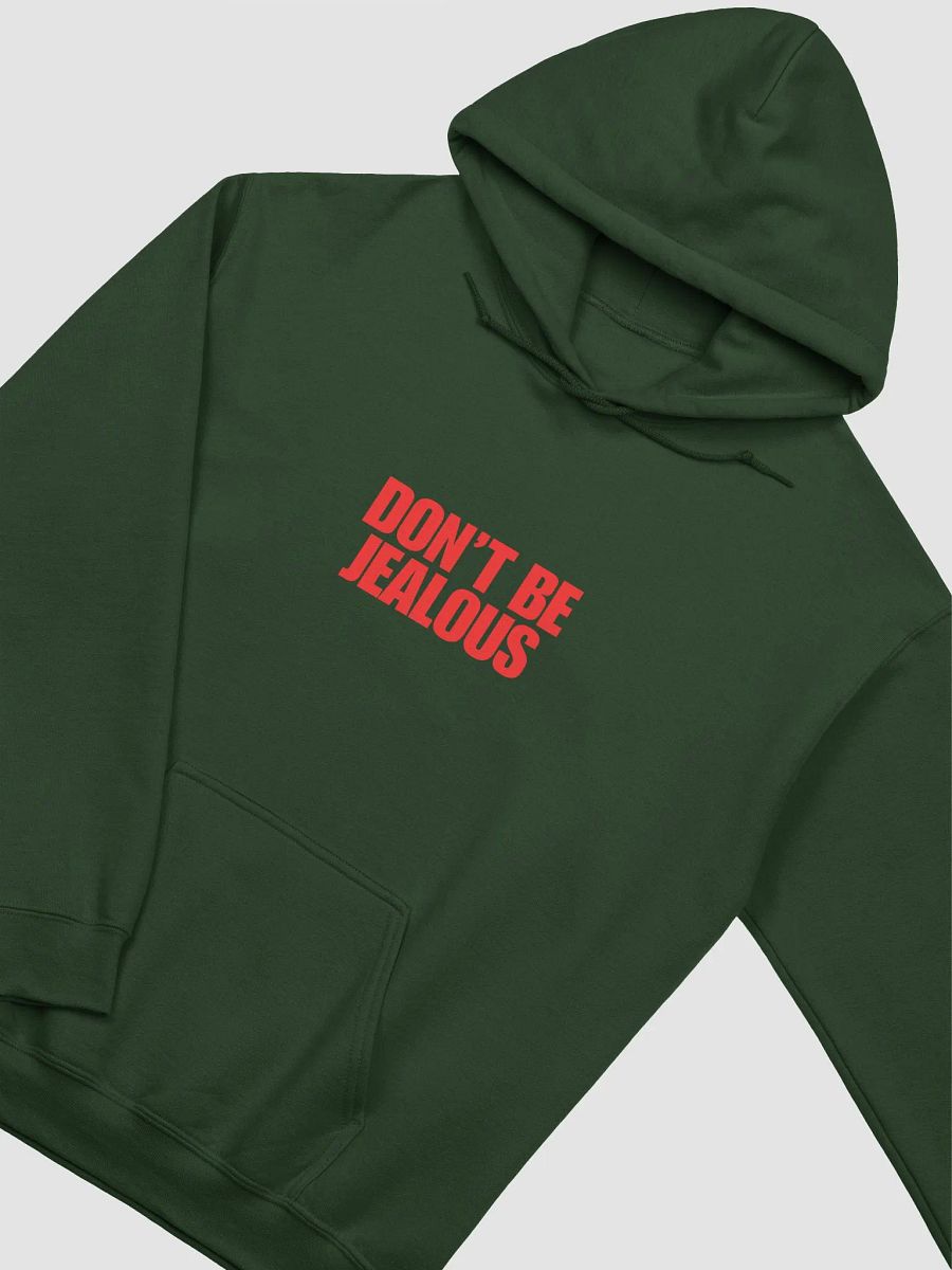 Don't be Jealous Statement Hoodie product image (16)