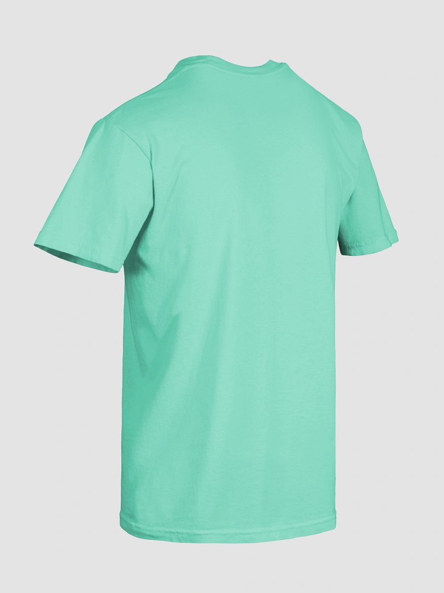 UFO Ultraconservative Family Oriented T-Shirt product image (10)