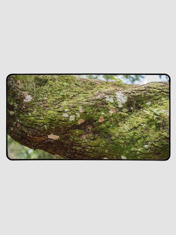 Desk Mat L4 - Southern Louisiana Series product image (1)