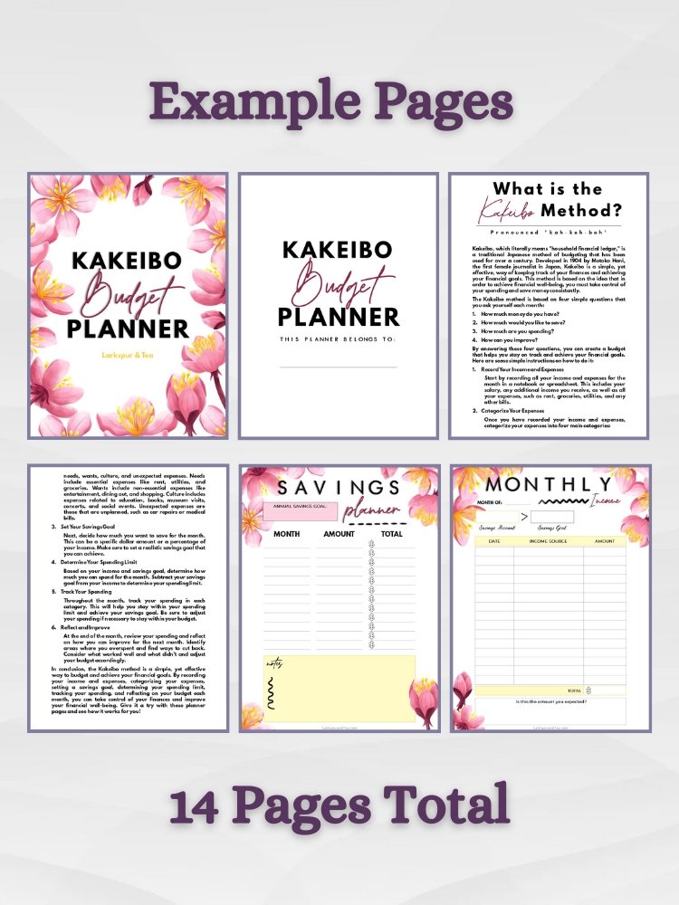 Kakeibo Budget Planner product image (4)