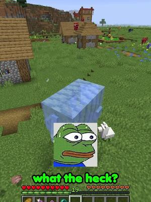 i found out at the end #minecraft #minecraftmemes #funny #troll #cheappickle