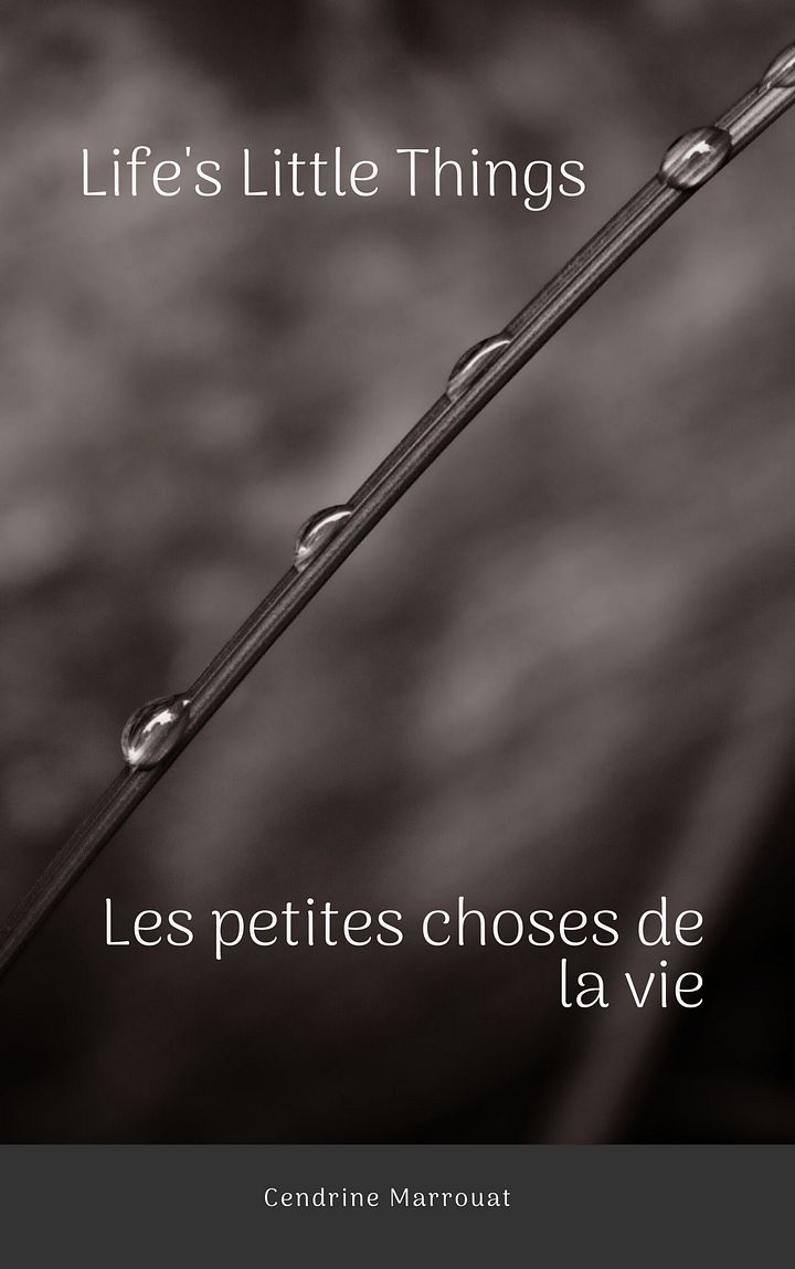 Life's Little Things - Les petites choses de la vie product image (1)