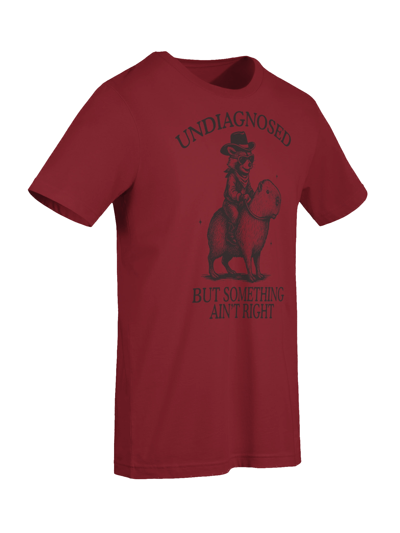 Raccoon Capybara T-Shirt product image (8)