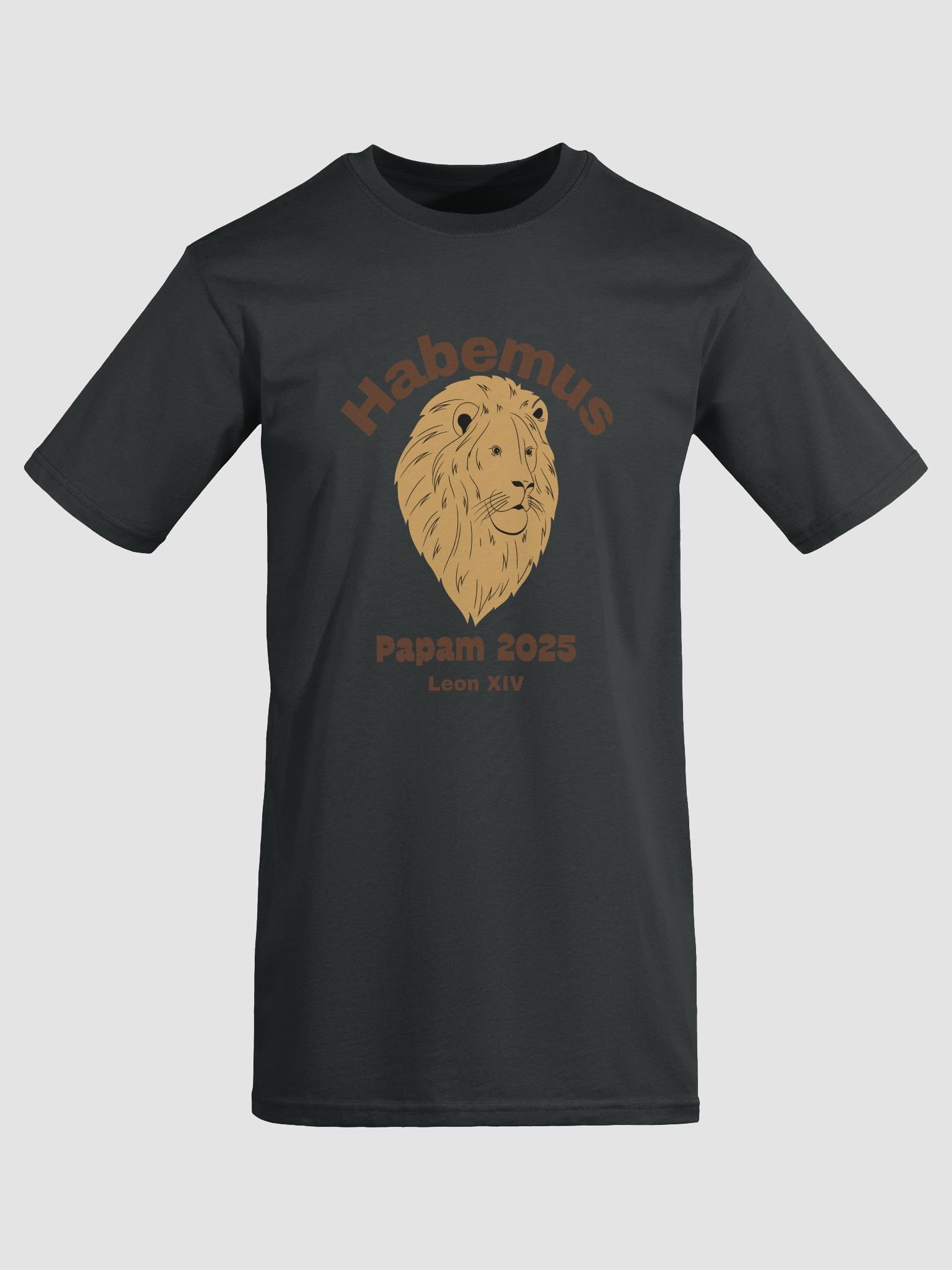 Habemus Papam 2025 Tee product image (1)