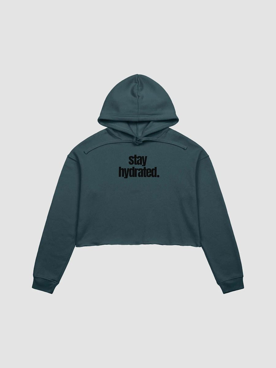 Stay Hydrated Crop Hoodie product image (1)