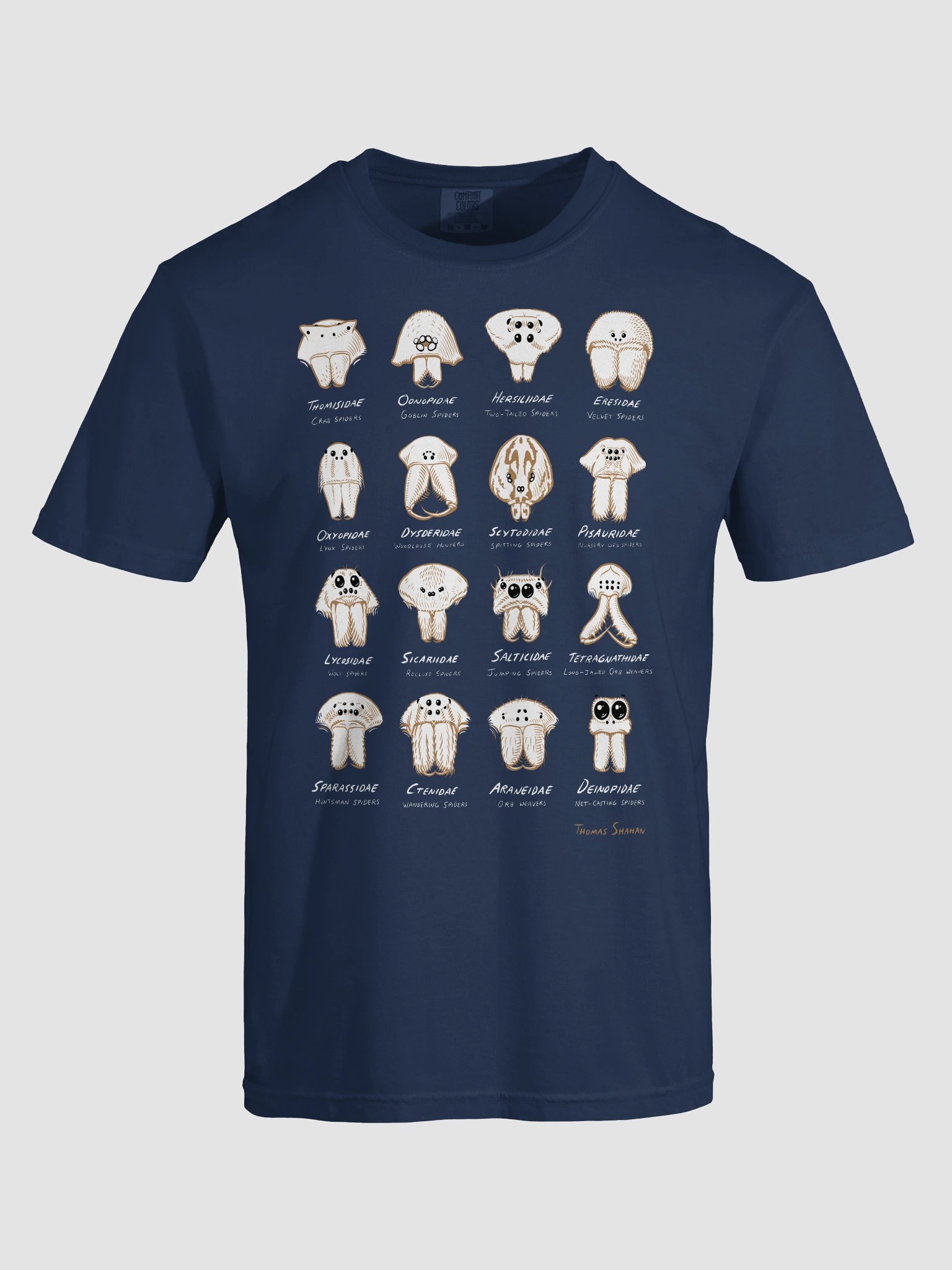 Spider Families Eye Arrangements Shirt product image (49)