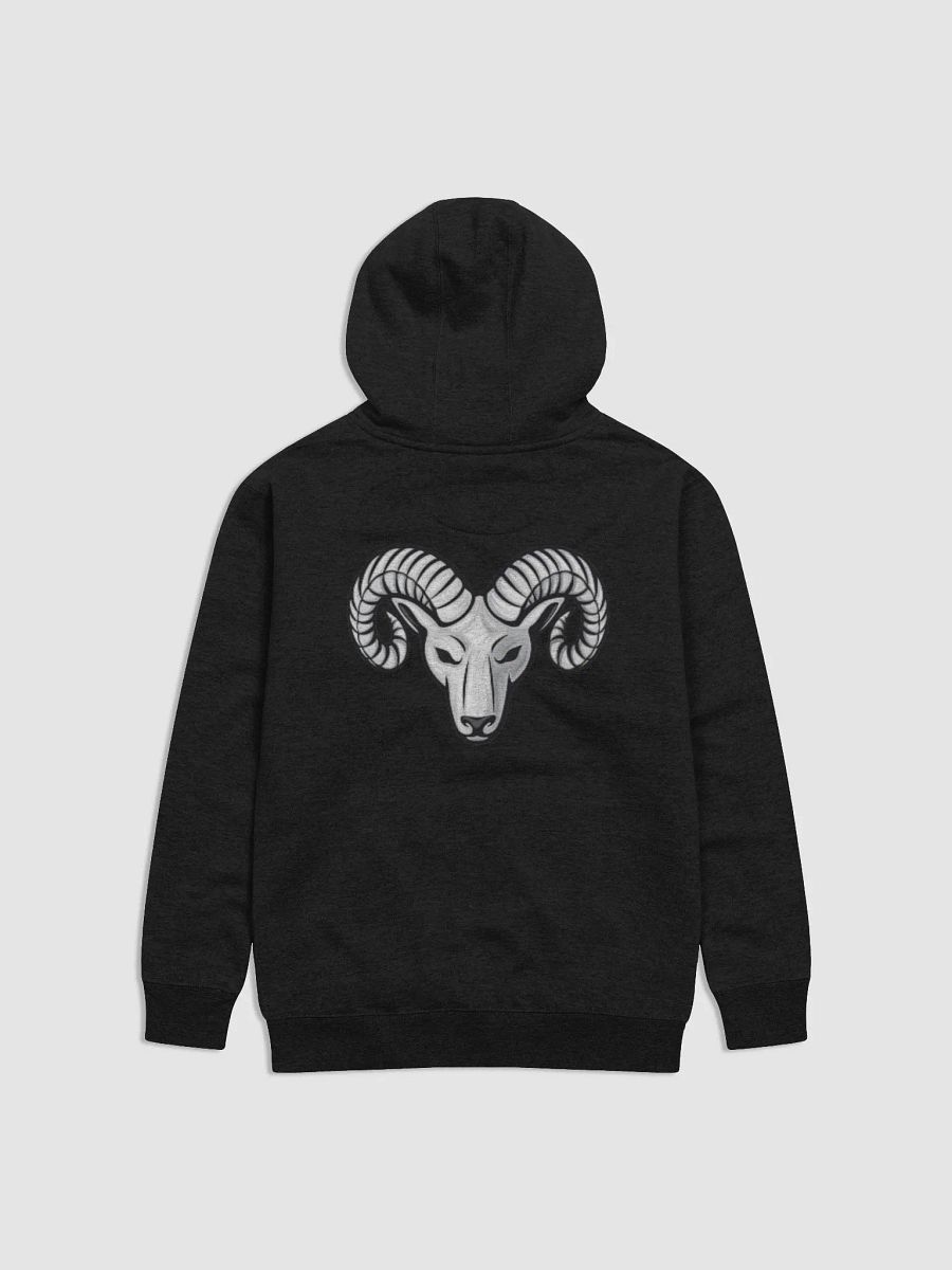 SAVYGANG ARIES HOODIE product image (2)