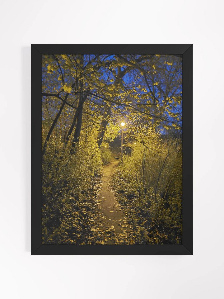 Golden Pathway Serenity Framed Poster product image (1)