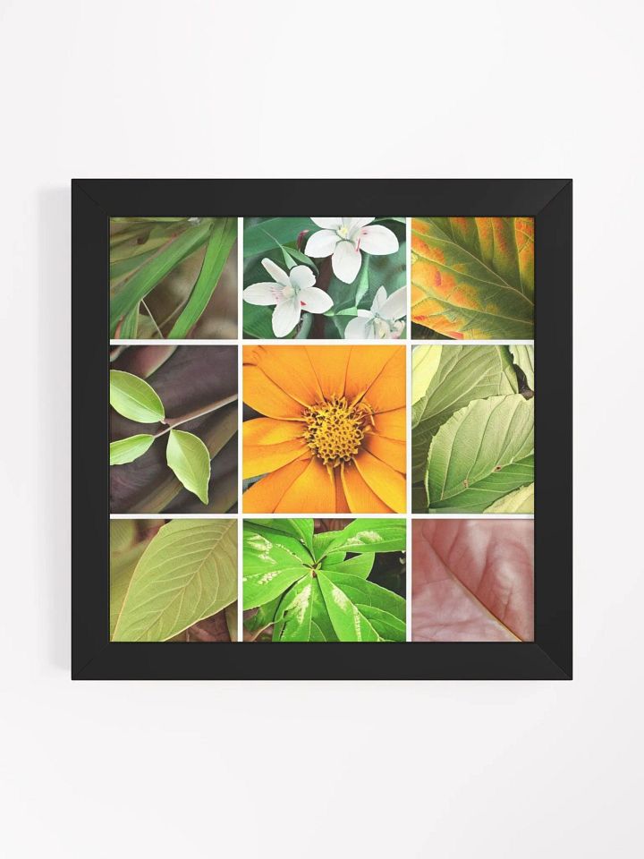 Framed High-Quality Matte Poster: Vibrancy in Bloom product image (2)