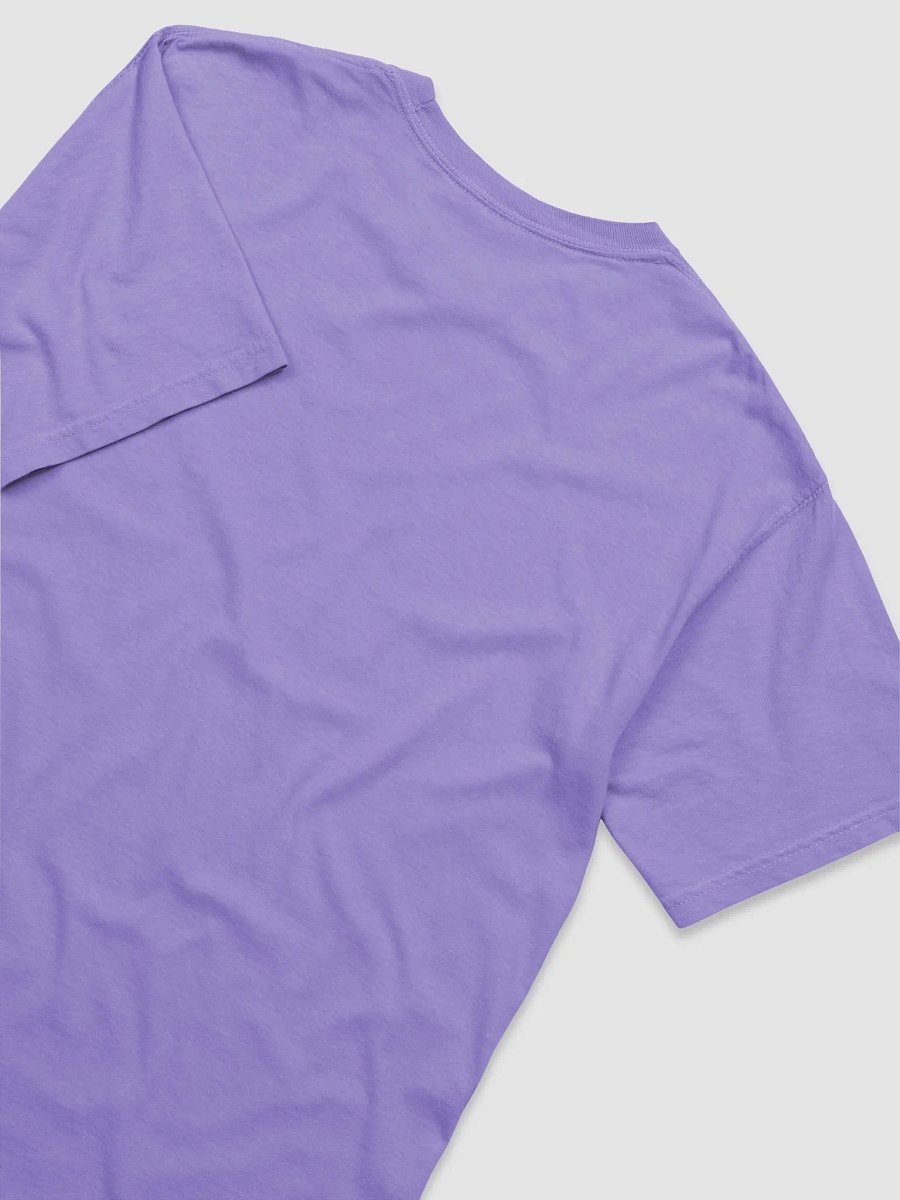 More than Meets the Eye Decepticons T-shirt product image (32)