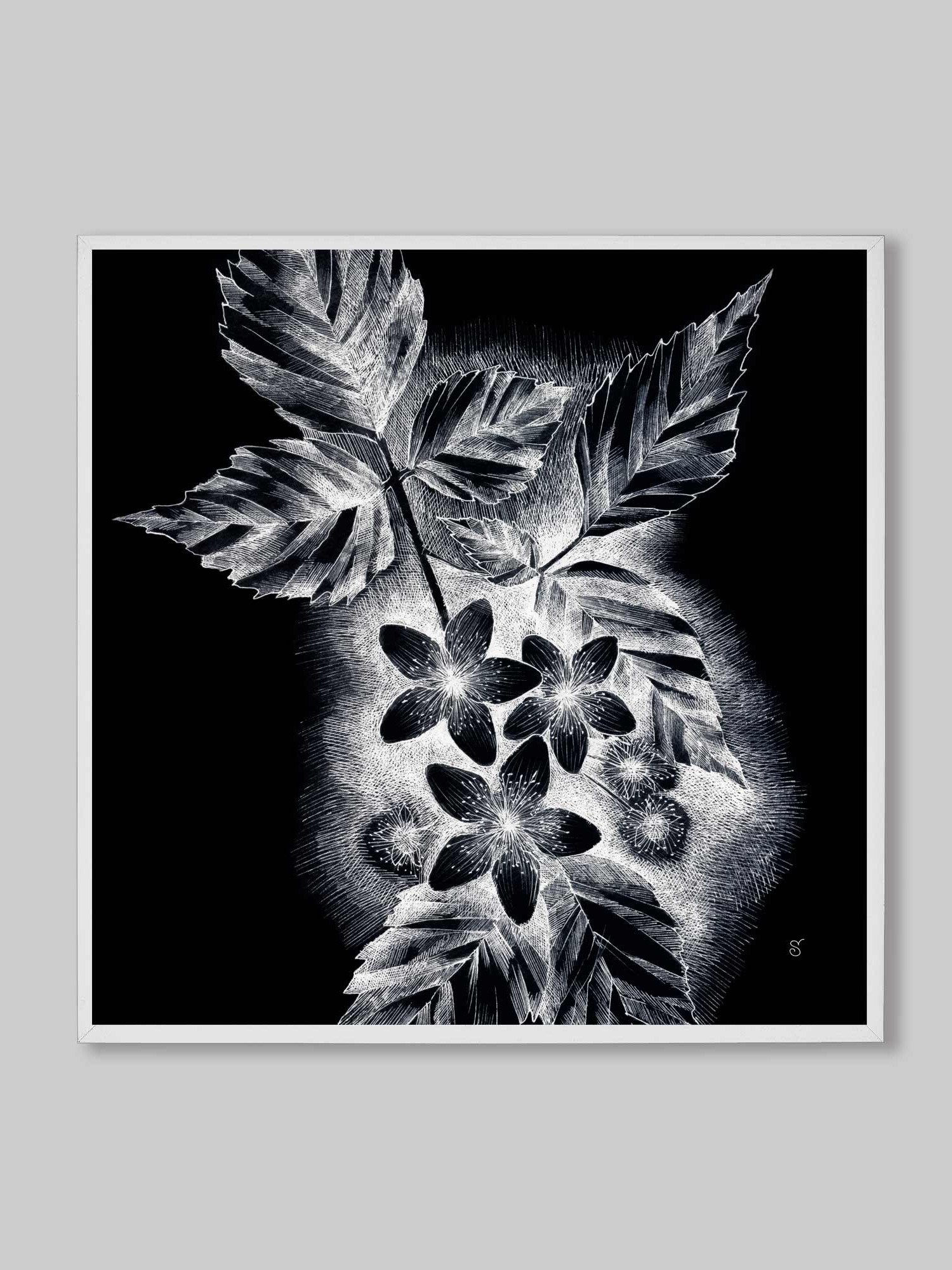 Blank Canvas Collection - JDark asmine product image (61)