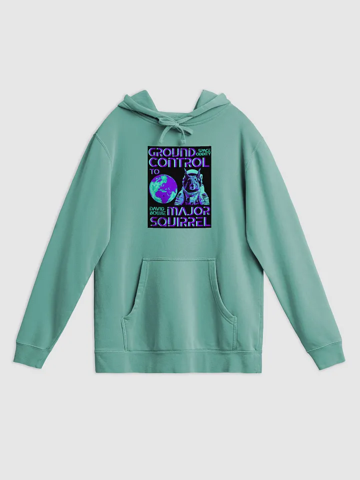 Astro Squirrel Vintage Hoodie product image (1)