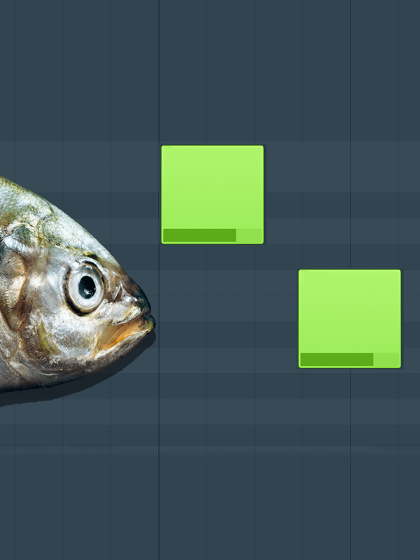 Project – how to BASS product image (1)