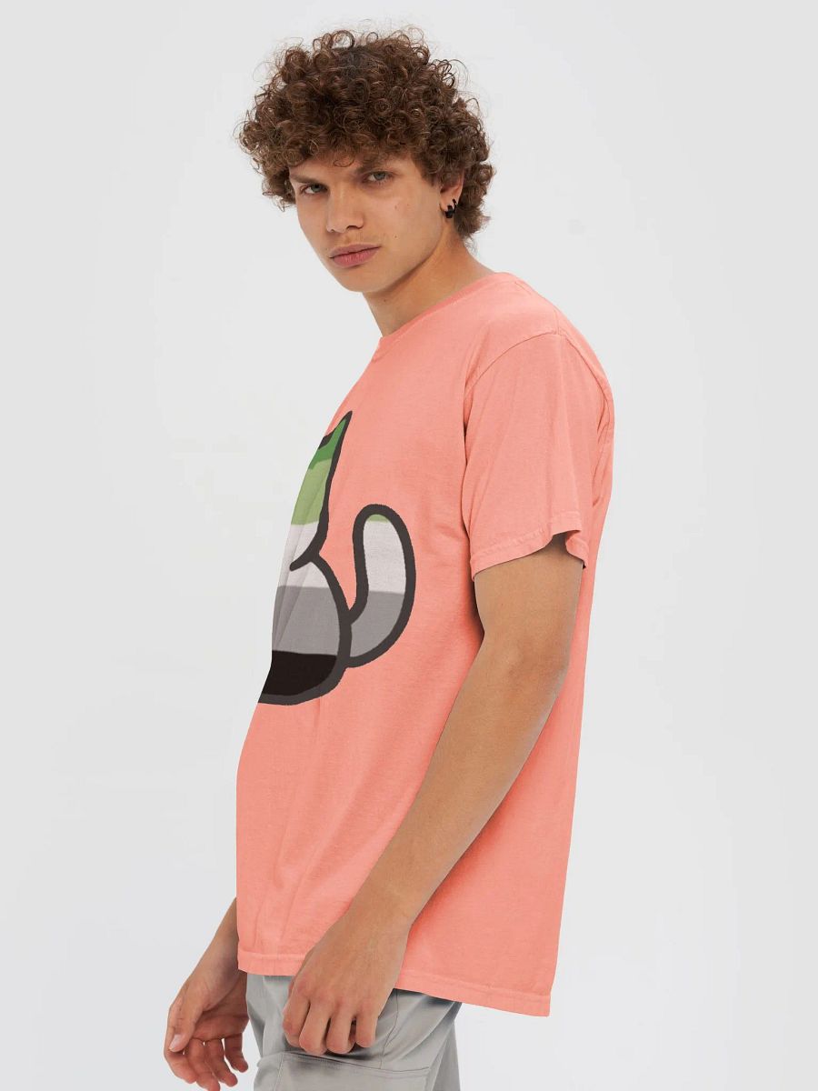 Aromantic Pride Kitty Man's Shirt product image (83)