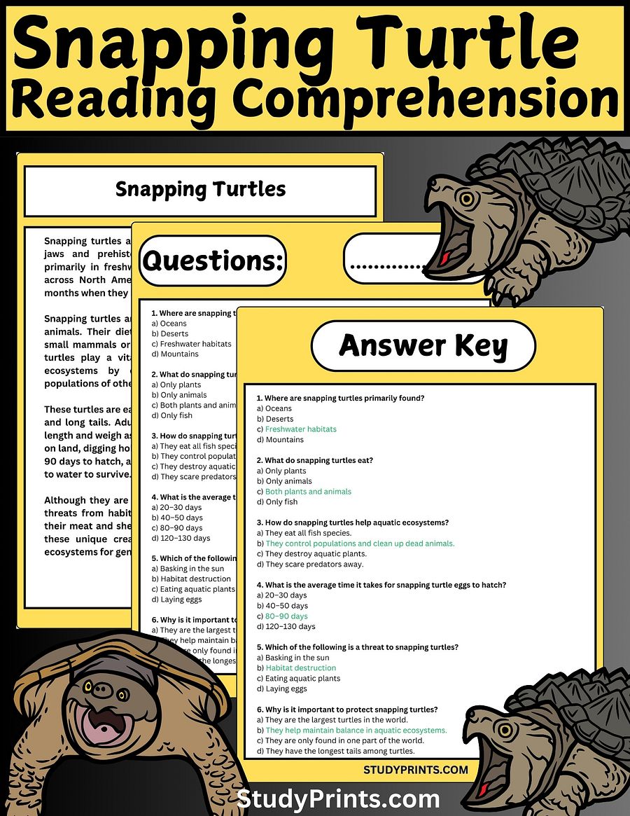 Snapping Turtle Reading Comprehension Passage with Questions product image (1)