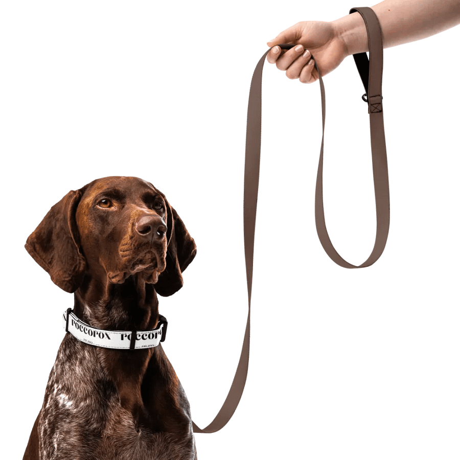 RoccoRox Dog Collar White Size Large product image (11)